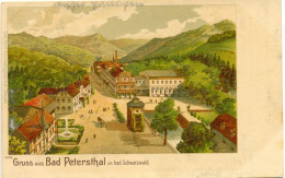Gruss Aus Bad Petersthal Im Bad Schwarzwald - Bad Peterstal-Griesbach