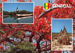 SEN-SENEGAL-N°3694-D/0089 - Senegal