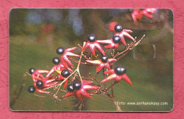 Turkey- Turktelekom- Flower Of Turkey- Phone Card Used By 100 Units Exp. 2005- - Turkey