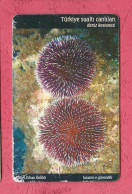 Turkey- Turktelekom- Turkiye Sualti Canlilari. Deniz Kestanesi. Turkey Underwater Life.Sea Urchin- Phone Card Used - Turkey