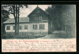 AK Neustadt /Sa., Gasthaus Hohwaldschenke Mit Strasse  - Hohwald (Sachsen)