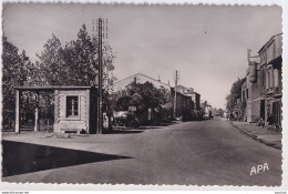 A11-81) VILLEFRANCHE D ' ALBIGEOIS - TARN - AVENUE D ' ALBI   - ( 2 SCANS ) - Villefranche D'Albigeois