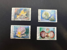 (stamp 9-6-2024) Bahamas - 4 Used Stamp - Shell / Coquillages - Schalentiere