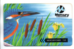 Marrin Pêcheur Oiseau Vogel Bird Télécarte Mercury Royaume-Uni Angleterre Phonecard  ( T 29) - Mercury Communications & Paytelco