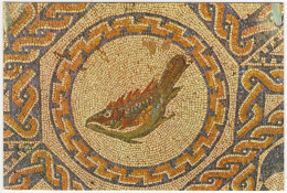 Merida - Casa Del Anfiteatro. Mosaico De Los Peces. Detalle - (Badajoz, Espana/Spain) - Fish/Poisson - Badajoz