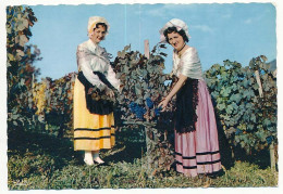 CPSM Dentelée 10.5 X 15 Le Dauphiné Costumes De Jeunes Filles  Vignes Vendange Folklore - Rhône-Alpes