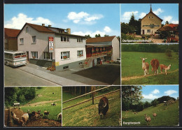 AK Fürth I. Odenwald, Gasthaus Schorsch, Dorfgemeinschaftshaus, Bergtierpark  - Odenwald