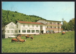 AK Ober-Ostern I. Naturpark Odenwald, Gasthaus Und Pension Ostertal Mit Kühen  - Odenwald