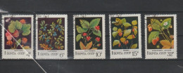 TIMBRES RUSSIE 1982 Fruits Forestiers Oblitérés - Used Stamps
