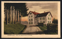 AK Hochblauen B. Badenweiler, Hotel In Der Blauenstrasse  - Badenweiler