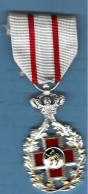 Croix Rouge - Médaille - Professionnels / De Société