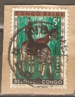 Congo Belge 1960 - Marcophilie - Cob 358 Avec Cachet KIBAMBO - Maniema - Sonstige & Ohne Zuordnung