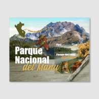 Peru 2023 Manu National Park Jaguar Monkey Block - Félins