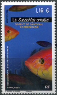 TAAF 2024. Suezichthys Ornatus (MNH OG) Stamp - Neufs