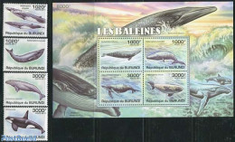 Burundi 2011 Whales 4v + S/s, Mint NH, Nature - Sea Mammals - Other & Unclassified