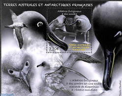 French Antarctic Territory 2023 Albatros S/s, Mint NH, Nature - Birds - Neufs