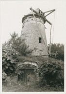 Balegem Oosterzele Klepmolen Foto A. Carre Ca. 1975 Restant Molen - Oosterzele