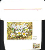Canada Floral Domestogramme 8c Prairie Crocus Anémone Pulsatille ( A70 216b) - 1953-.... Regno Di Elizabeth II