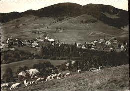 71369992 Bernau Schwarzwald Panorama Bernau - Bernau