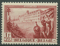 Belgien 1933 Kampf Gegen Die Tuberkulose Sanatorium 351 Mit Falz - Ungebraucht