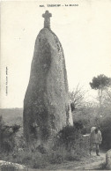 MENHIR - TREGUNC - Dolmen & Menhirs