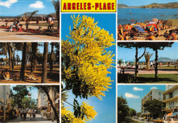 66-ARGELES SUR MER-N°3490-C/0223 - Argeles Sur Mer