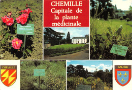 49-CHEMILLE-N°3495-C/0229 - Chemille