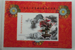 China.Foglietto Nuovo Semiufficiale Del 1996 - Neufs