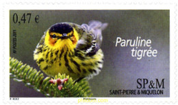 260655 MNH SAN PEDRO Y MIQUELON 2011 AVES - Unused Stamps
