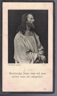 2406-01k Virginie Degryse - Deswaaf Sint Joris Ten Distel 1846 - Aalter 1932 - Images Religieuses
