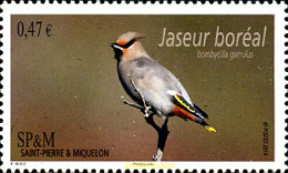 315196 MNH SAN PEDRO Y MIQUELON 2014 AVE - Unused Stamps