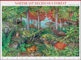 VEREINIGTE STAATEN ETATS UNIS USA 2005 NATURE OF AMERICA NORTHEAST DECIDUOUS FOREST MNH SN 3899SP YT F3629-38 MI B3907 - Unused Stamps