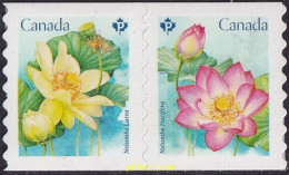 700371 MNH CANADA 2018 FLORES - Autres & Non Classés