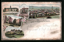 Lithographie Rossleben, Ortsansicht, Kloster, Wendelstein  - Rossleben
