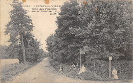 78-CERNAY LA VILLE-COTE DES PUCELLES-N°6024-F/0239 - Cernay-la-Ville