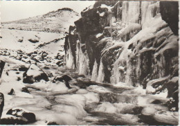 Cpsm Archipel Des Kerguelen Presque île De Courbet - TAAF : French Southern And Antarctic Lands