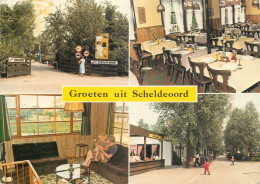 Postcard Hotel Restaurant Groeten Uit Scheldeoord - Hotels & Restaurants