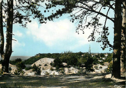 54 - Vezelise - Pèlerinage De Notre Dame De Sion - Vue Sur La Colline - CPM - Voir Scans Recto-Verso - Vezelise