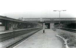 British Railway Station Photo Twyford - Trains