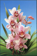 Korea. 2011. Vanda Hybrid (Vanda Hybrida) (Mint) PostCard - Corea Del Nord