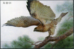 Korea. 2009. Falcon (Falco) (Mint) PostCard - Corea Del Nord