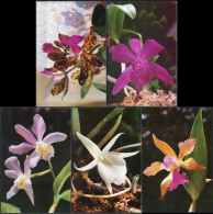 Korea. 2001. Orchids (Mint) Set Of 5 PostCards - Corea Del Nord