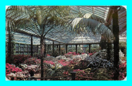 A918 / 193 DELAWARE PENNSYLVANIA The Conservatory At LONGWOOD GARDENS - Andere & Zonder Classificatie