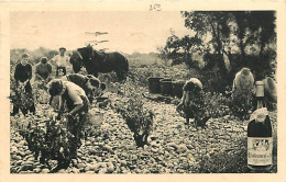 84 - Chateauneuf Du Pape - Vendanges - Animée - Oblitération Ronde De 1938 - CPA - Voir Scans Recto-Verso - Chateauneuf Du Pape