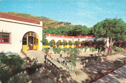 ESPAGNE - Cadiz - Vista Del Patio Andaluz - Meson De Sancho - Carretera Algeciras - Tarifa - Carte Postale Ancienne - Cádiz