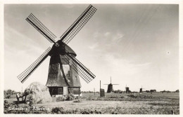 PAYS BAS - Alkmaar - Groeten Uit Alkmaar - Museum "De Kogel" - De Zes Wielen - Moulins Dans Le Champ - Carte Postale - Alkmaar