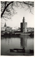 ESPAGNE - Sevilla - Rio Guadalquivir Y Torre Del Oro - Carte Postale Ancienne - Sevilla