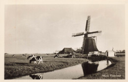 PAYS BAS - Mooi Friesland - Paysage Rurale - Moulin - Troupeau De Vaches - Carte Postale - Otros & Sin Clasificación