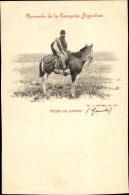 CPA Argentinien, Péon De Campo, Gaucho Auf Pferd Sitzend - Argentina