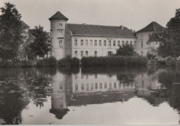 81153 - Rheinsberg - Schloss - 1973 - Rheinsberg